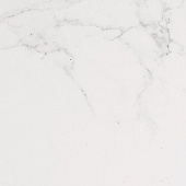   Carrara Blanco Brillo 59,6x59,6
